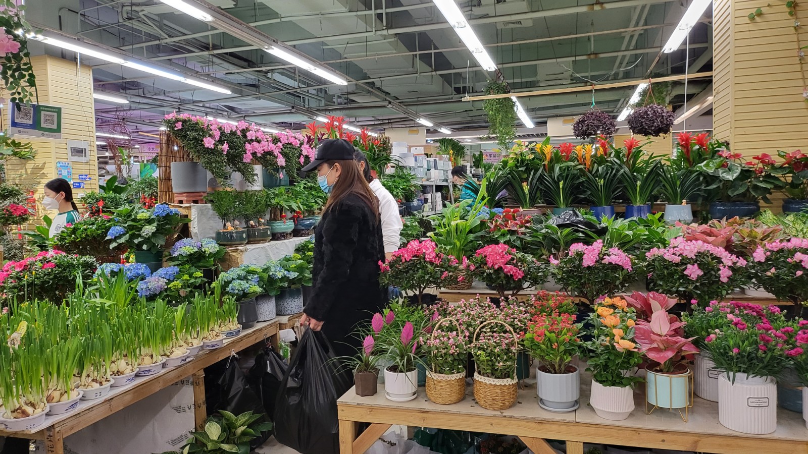 陈砦花卉市场官方网站——郑州陈砦花卉服务有限公司