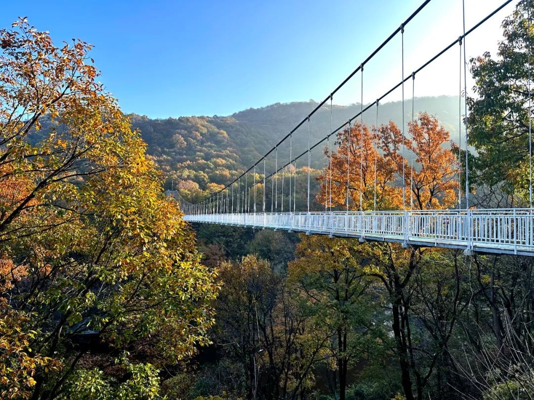 金顶山风景区简介图片