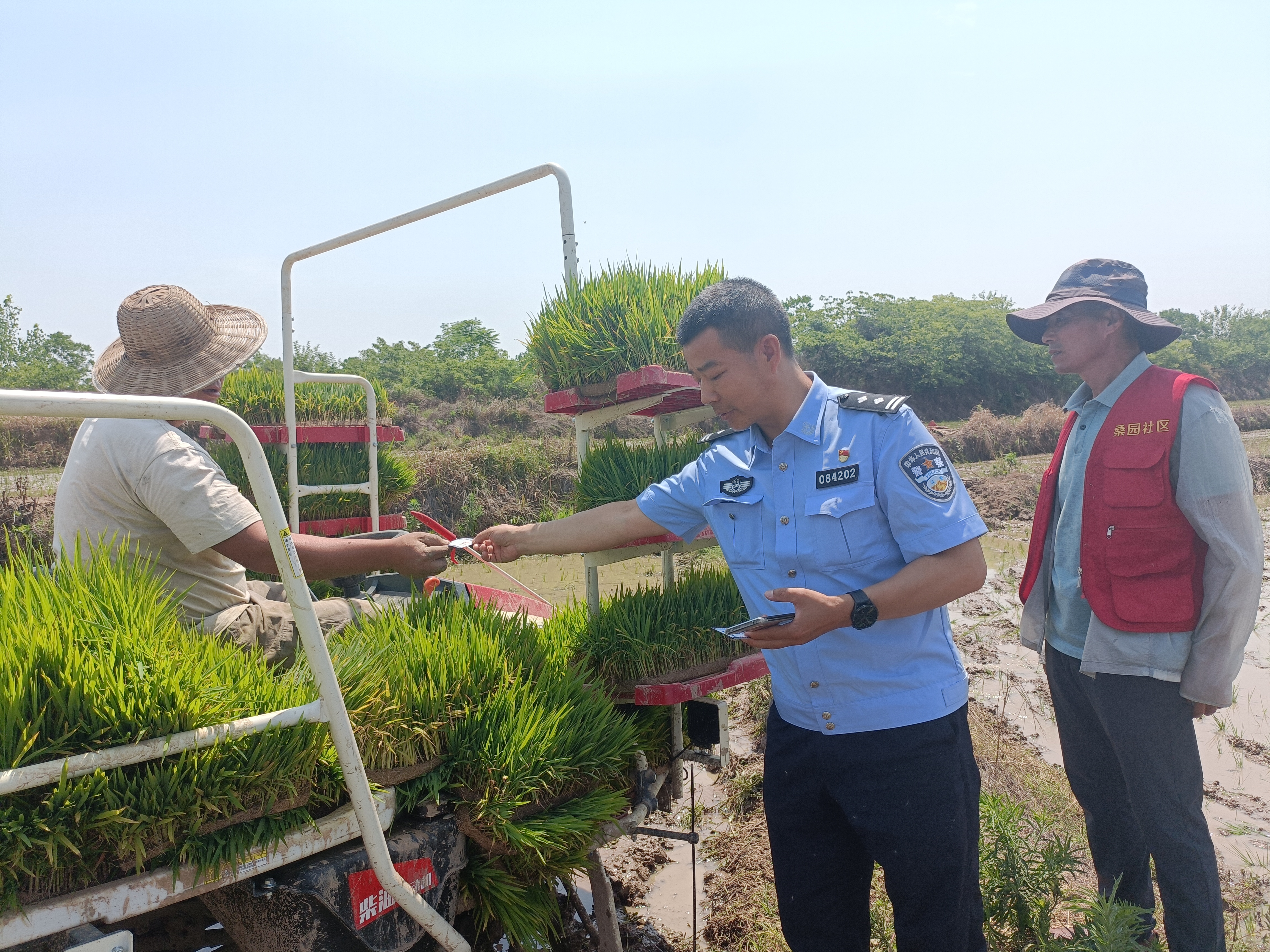 麥香濃“豫”｜羅山警方多措并舉 護航“三夏”保豐收