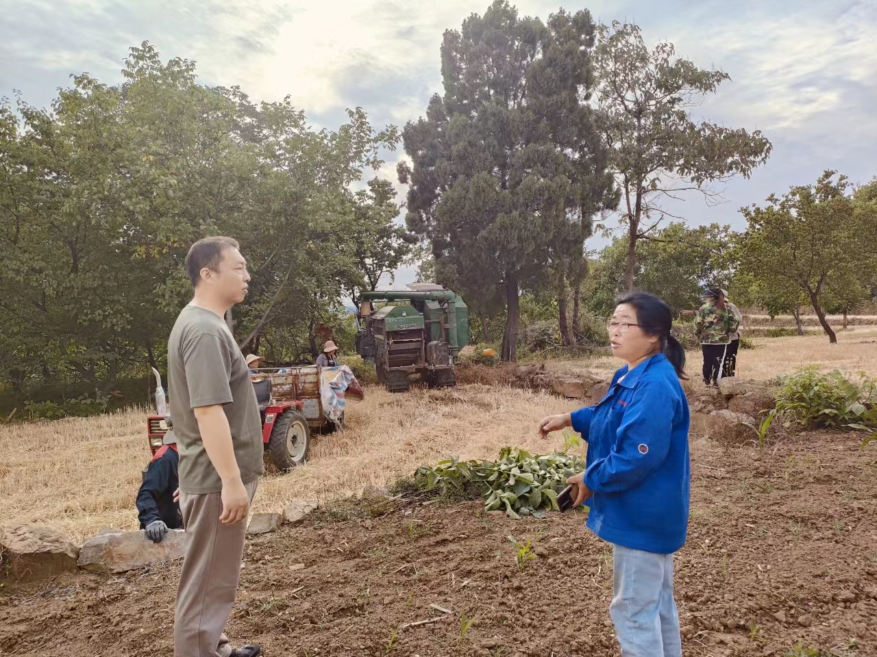 博爱县寨豁乡:打好禁烧组合拳