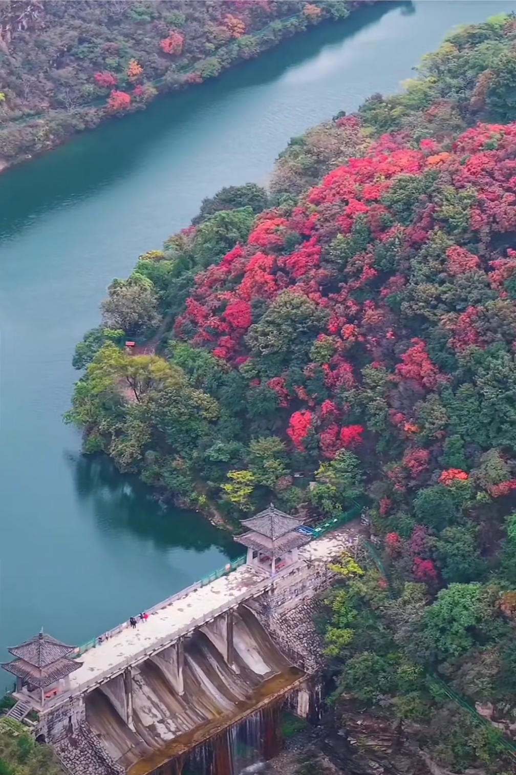 河南紅葉地圖來(lái)了！來(lái)看詩(shī)和遠(yuǎn)方的紅葉！