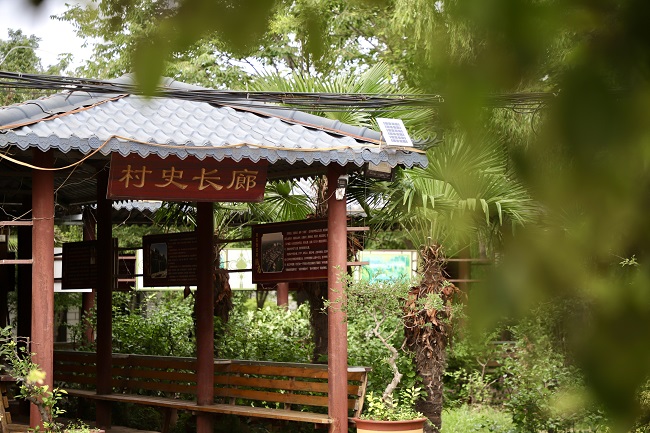 細“治”入微丨以企業(yè)治理理念抓鄉(xiāng)村治理