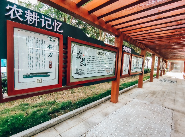 細(xì)“治”入微丨文化“活”起來 基層“智”起來